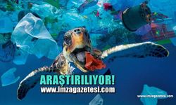 Plastik atıkların tarımsal alanlar ve hayvansal yemlere verdiği zararı araştıracak...