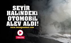 Ereğli-Kozlu yolunda korkulu anlar! Seyir halindeki otomobil alev topuna dönüştü!