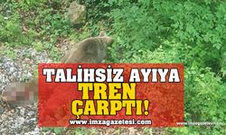 Tren Ayıya Çarparak Yaraladı!