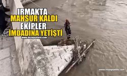 Irmakta Mahsur Kaldı İmdadına Ekipler Yetişti!