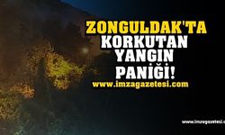 Zonguldak'ta Korkutan Yangın Paniği!