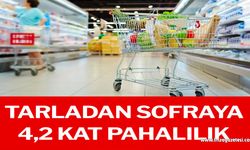 Tarladan sofraya 4,2 kat pahalılık!..