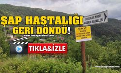 Şap Hastalığı Geri Döndü!