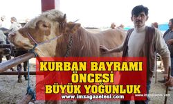 Kurban Bayramı Öncesinde Büyük Yoğunluk Yaşanıyor...