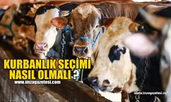 Kurbanlık Seçimi Nasıl Olmalı!