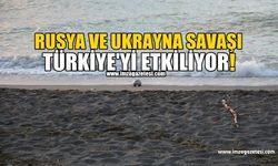 Ukrayna- Rusya Savaşı Türkiye'yi Etkiliyor!