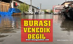 Burası Venedik Değil!