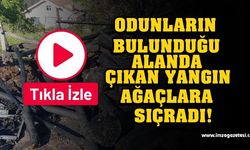 Odunlardan Başlayan Yangın Ağaçlara Sıçradı! Traktör Kül Oldu...