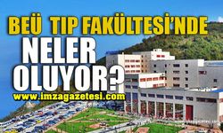 Zonguldak BEÜ'de papatya falı! Vatandaş mağdur!