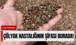 Çölyak hastalığının şifası Kastamonu'da bulundu!