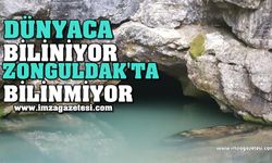 Dünyaca Biliniyor Zonguldak'ta Bilinmiyor!