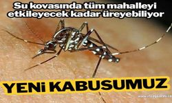 İnsanlığın yeni kâbusu istilacı sivrisinek!..