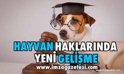 Hayvan Hakları İçin Yeni Adım!