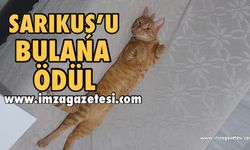 Sarıkuş’u Bulana Büyük Ödül!