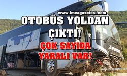 Yolcu otobüsü yoldan çıktı! Çok sayıda yaralı var!