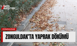 Zonguldak'ta yaprak dökümü...