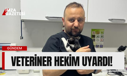 Veteriner hekim Gökmen Koç'tan sokak hayvanları uyarısı!