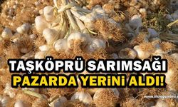 Taşköprü sarımsağı pazarlarda yerini aldı!