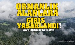 Ormanlık Alanlara Giriş Yasaklandı!