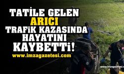 Arıcı hayatını kaybetti!