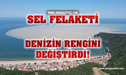 Sel sonrası Bartın'da denizin rengi görenleri şaşırttı!