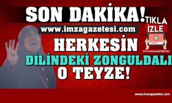 Zamlardan sonra Zonguldaklı teyze gündem oldu... Milyonlar izledi...