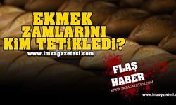 Ekmek zammının başını kim çekiyor?