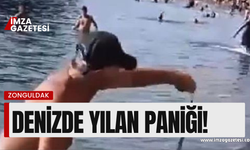 Zonguldak’ta  denizde yılan paniği!