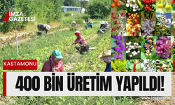 400 binlik yabani meyve üretildi...