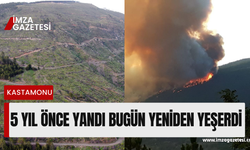 5 yıl önce yanan orman alanı bugün yeniden yeşertildi