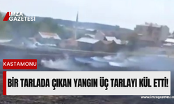 Bir tarlada çıkan yangın üç tarlayı kül etti!