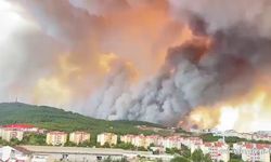 Çanakkale'de orman yangını! Hangi köyler boşaltıldı?