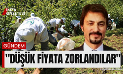 CHP  Zonguldak Milletvekilinden cumhurbaşkanı Erdoğan'ın açıkladığı fındık fiyatına tepki!