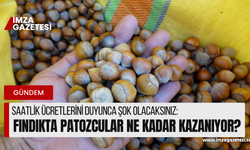 Fındıkta patoz mesaisi devam ediyor. Bakın patozcular ne kadar kazanıyor!