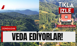 Zonguldak’ın ormanı yavaş yavaş yaza veda ediyor