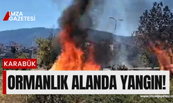 Karabük'te ormanlık alanda yangın çıktı!