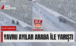 Kastamonu'da yavru ayı araba ile yarıştı...