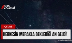 Herkes bunu bekliyordu, görenler cep telefonlarına sarıldı!