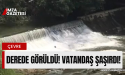 Derede görüldü! O anlar kameralara yansıdı