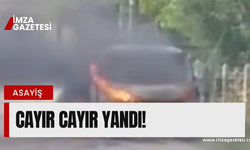 Görenler şaşkına çevirdi! Cayır cayır yandı