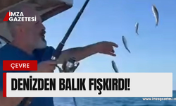 Deniz’den balık fışkırdı! Görenler şaşkına döndü