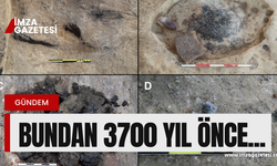 Zonguldak'ın karaelması bundan 3700 yıl önce...