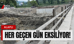 Köprünün demirlerini çalıyorlar!