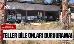 Teller bile onları durduramadı!