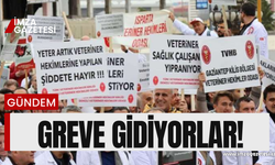Türk Veteriner Hekimler Birliği'nden "Şiddet" grevi