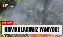 Türkiye'nin ciğerleri yanıyor!