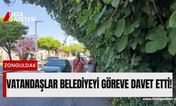 Vatandaşlar belediyeyi göreve davet etti!