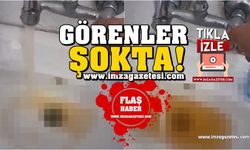 Zonguldak'ın ilçesinde musluktan akıyor... Görenler şok!