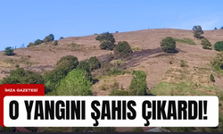 Zonguldak'ın ilçesindeki yangını çıkartan şahıs yakalandı