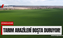 Zonguldak’ta kullanılmayan tarım alanı 50.7 bin hektar alan